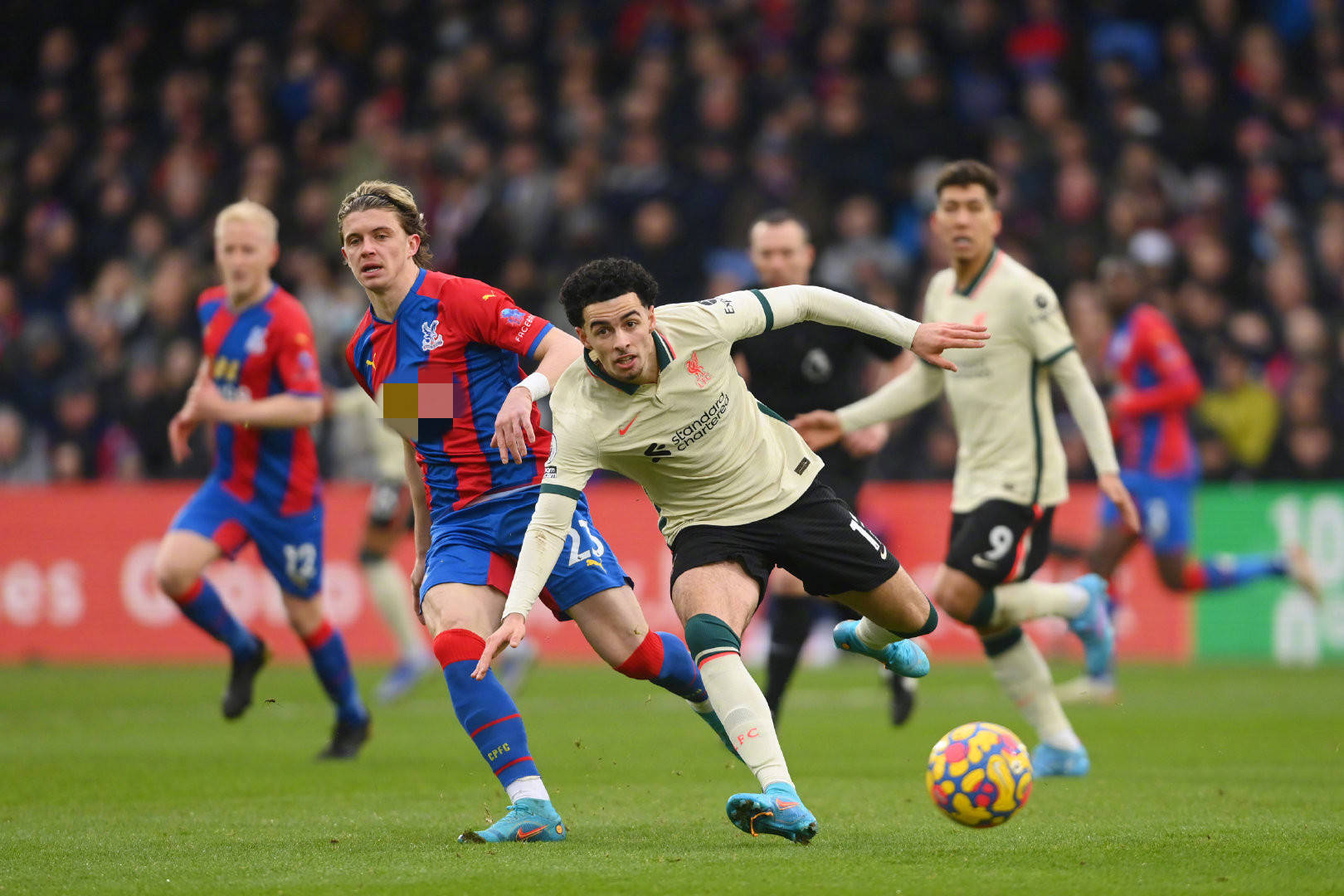 而是具备可 而是具备可